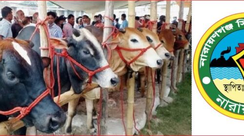 ঈদুল আযহা সামনে রেখে নারায়ণগঞ্জে বসছে ১৭টি অস্থায়ী পশুর হাট