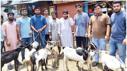 In Narayanganj the NCPI gifted sacrificial animals to the families of martyrs