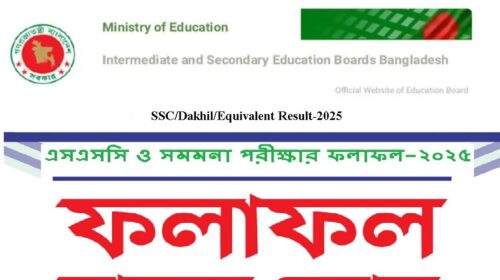 SSC and equivalent exam results published: Find out how to get the results